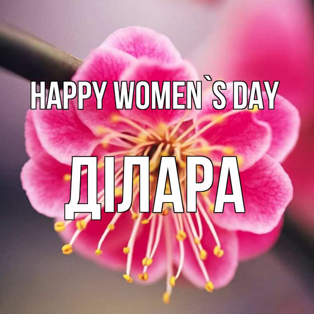 Greetings card с именем, ДІЛАРА happy women`s day цветы Greetings with text for free download 